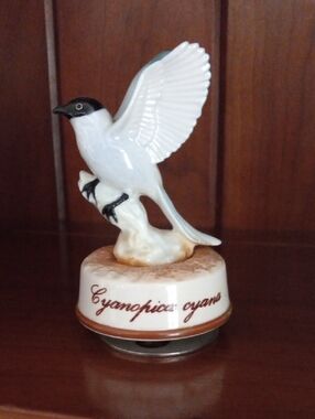 Cyanopica Cyanus  Blue-tailed Magpie Ceramic Music Box Figurine Sankyo Japan